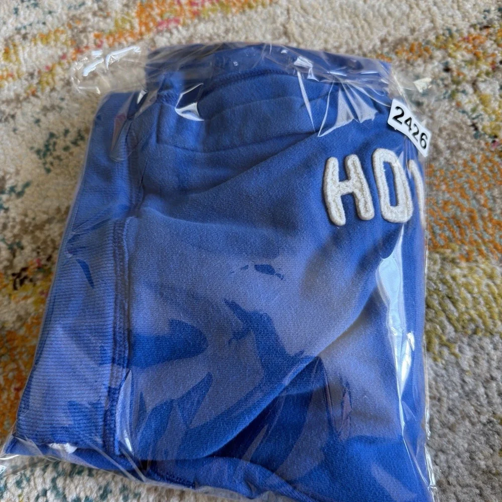 Vintage Y2K 2000s Hollister Fleece Cut-Off Sweat Shorts L